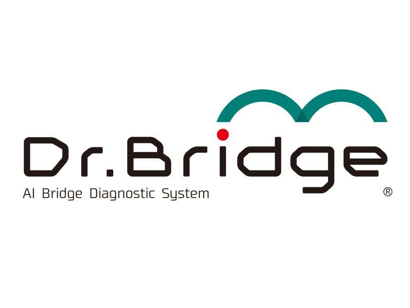 Dr.Bridge