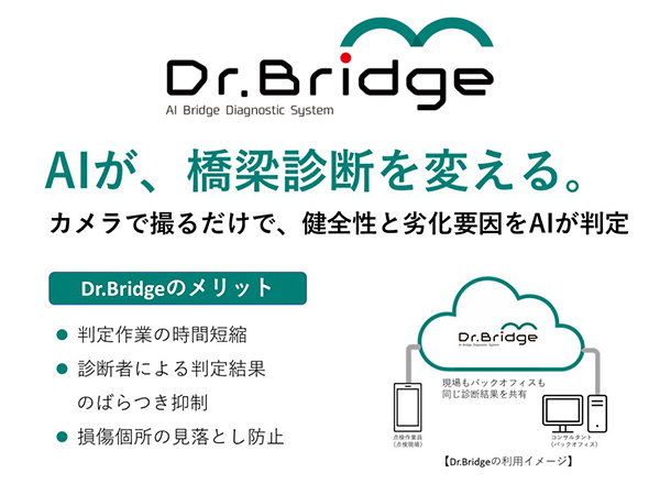 Dr.Bridge