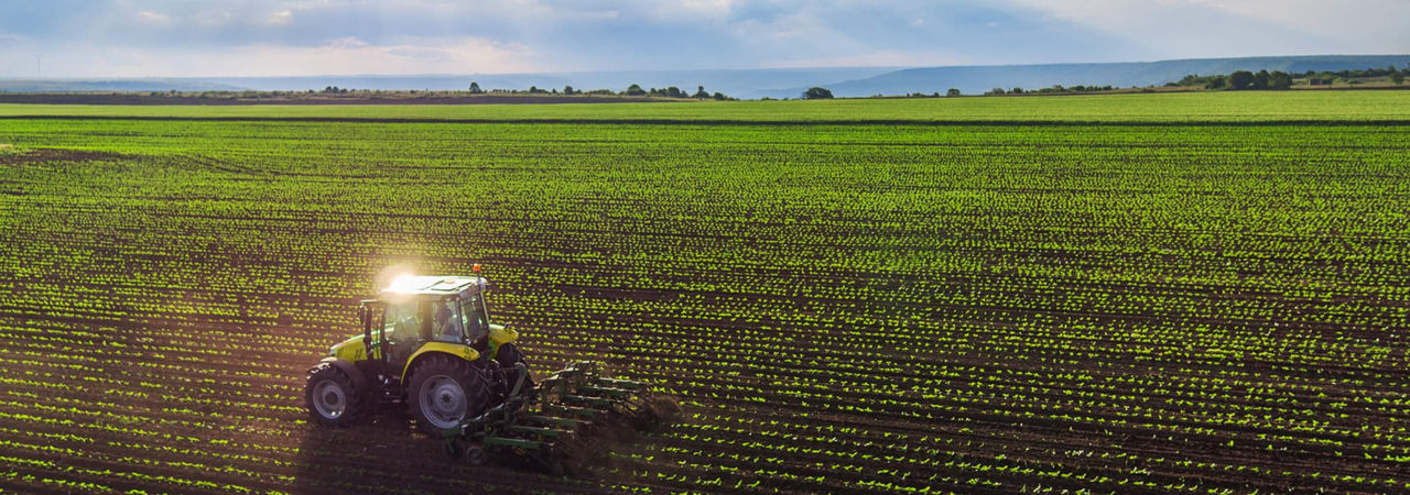 Agriculture